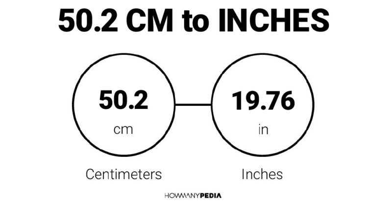 50.2 CM to Inches