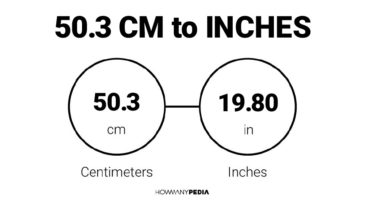 50.3 CM to Inches