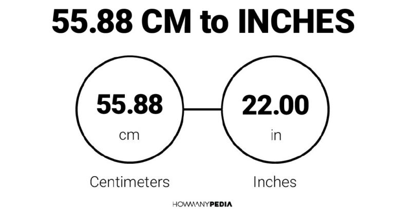 55.88 CM to Inches