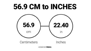 56.9 CM to Inches