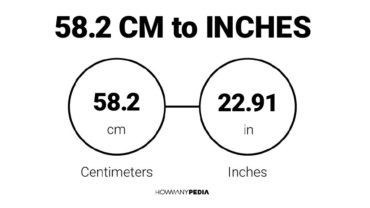 58.2 CM to Inches