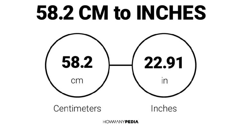 58.2 CM to Inches