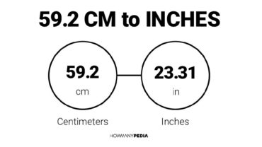 59.2 CM to Inches