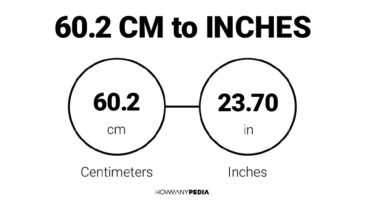 60.2 CM to Inches