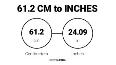 61.2 CM to Inches
