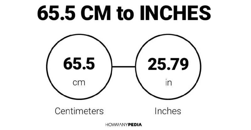 65.5 CM to Inches