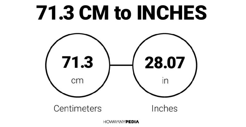 71.3 CM to Inches
