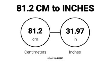 81.2 CM to Inches