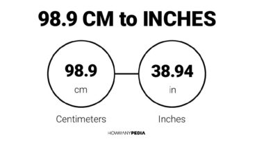 98.9 CM to Inches