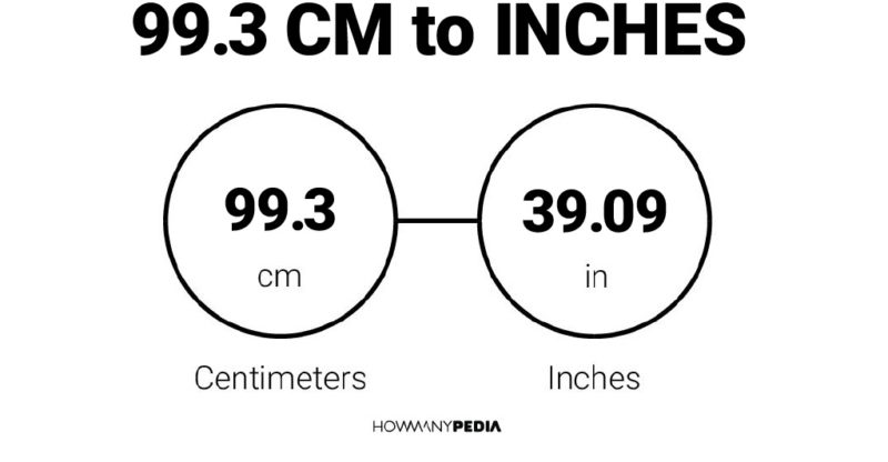 99.3 CM to Inches