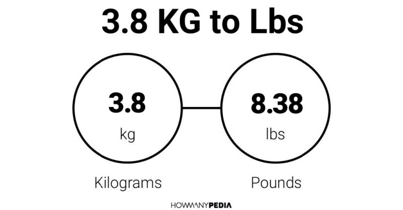 3.8 KG to -