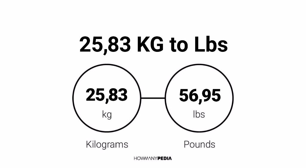 ...(si) definition of the kilogram officially recognized by the internation...