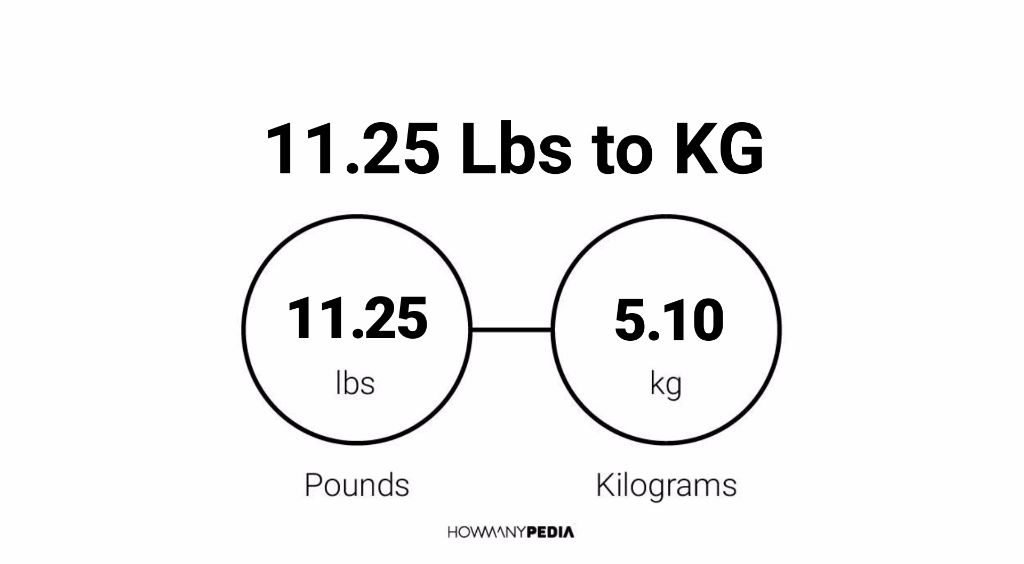 11.25 Lbs to KG: Easily convert 11.25 Lbs to KG using our 11.25 Pounds to K...