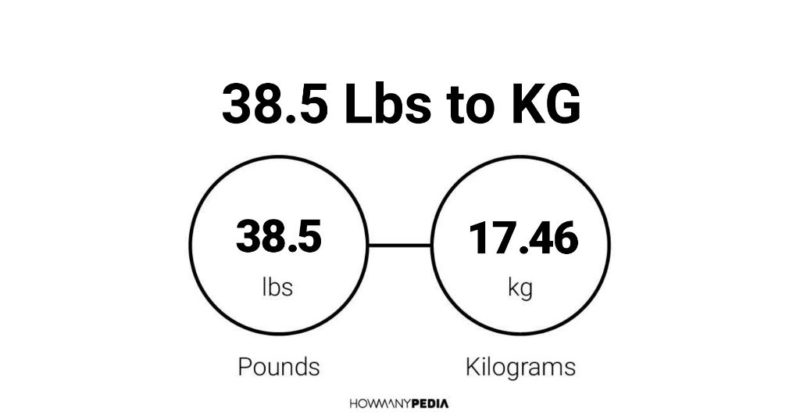 Lbs To Kg Conversion Chart