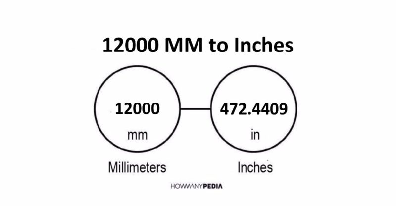 12000 MM to Inches