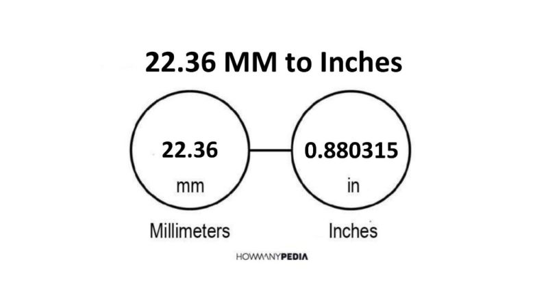 22.36 MM to Inches