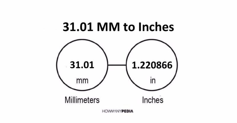 31.01 MM to Inches