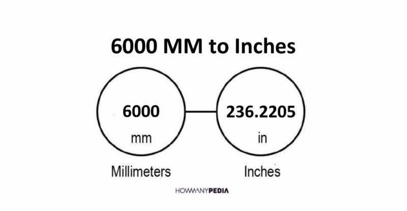 6000 MM to Inches