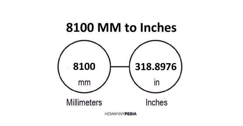 8100 MM to Inches