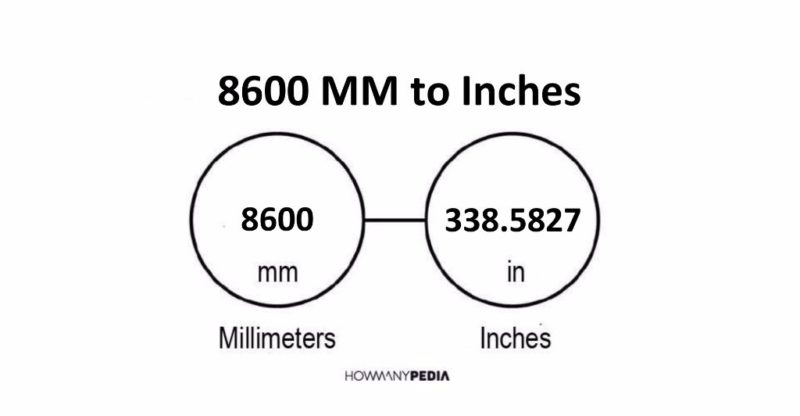 8600 MM to Inches