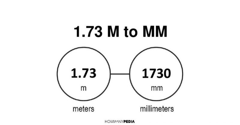 1.73 m to mm