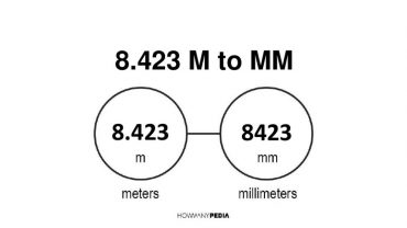 8.423 m to mm
