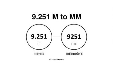 9.251 m to mm